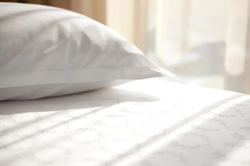 Sheraton Hannover Pelikan Hotel Germany