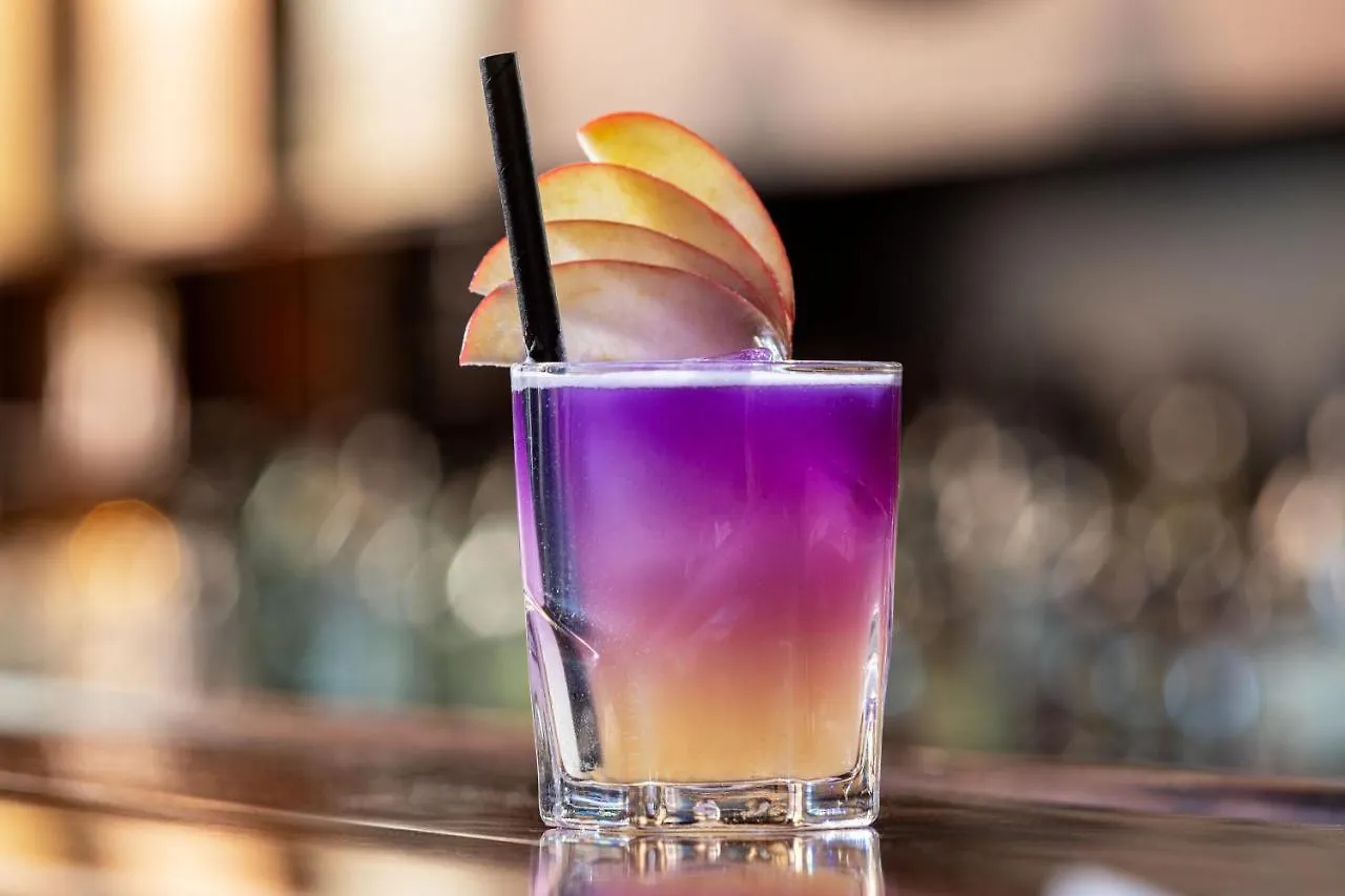 Sheraton Hannover Pelikan Hotel
